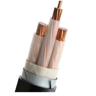 LSZH N2X2Y 10mm2 Low Smoke Halogen Free Cable Class 2 For Electrical Wiring Projects